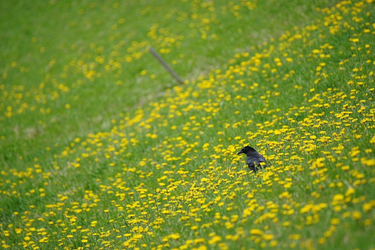 AMBUSH Synonyms and Related Words. What is Another Word for AMBUSH