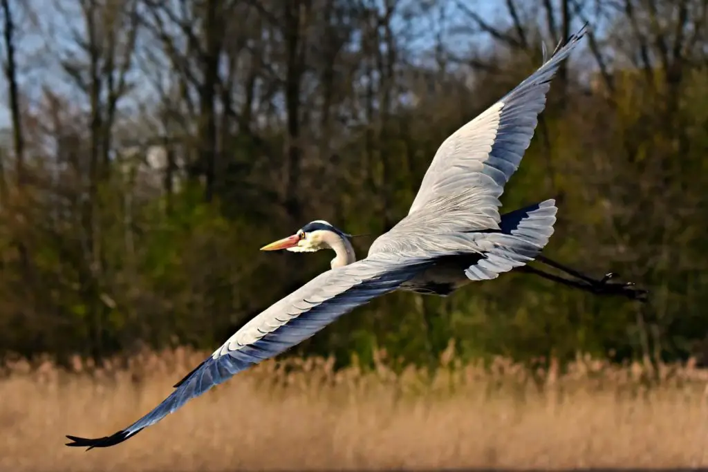 habitat-synonyms-and-related-words-what-is-another-word-for-habitat