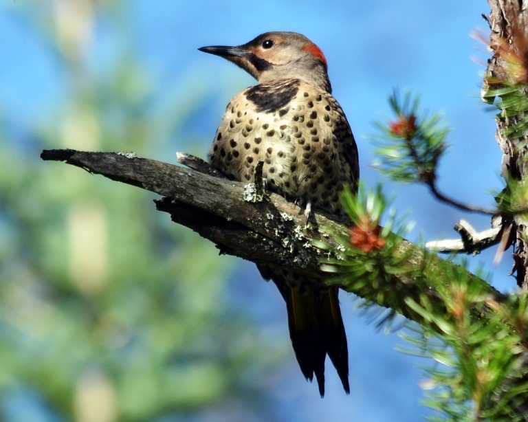 flicker-synonyms-and-related-words-what-is-another-word-for-flicker