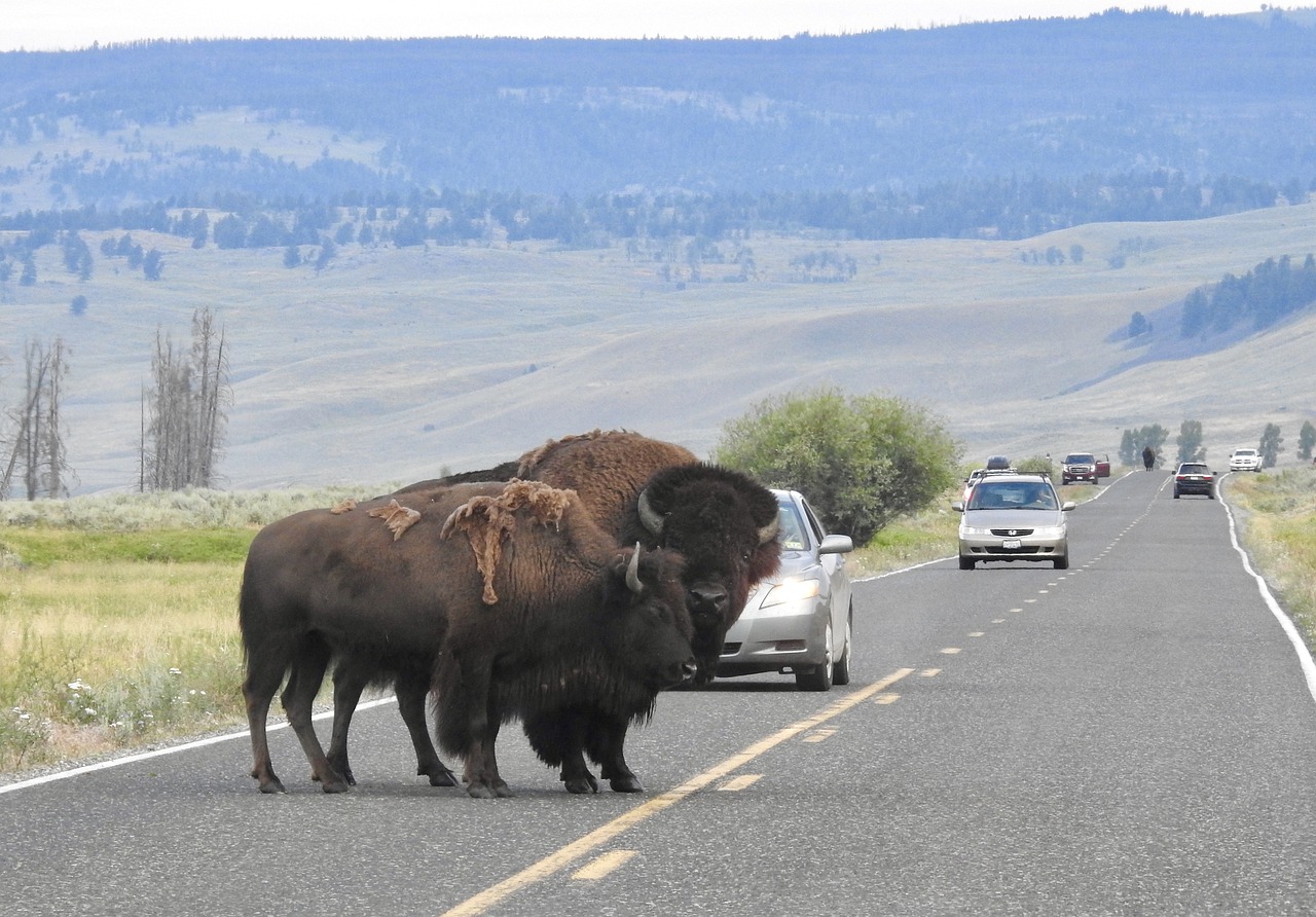 roadblock-synonyms-and-related-words-what-is-another-word-for