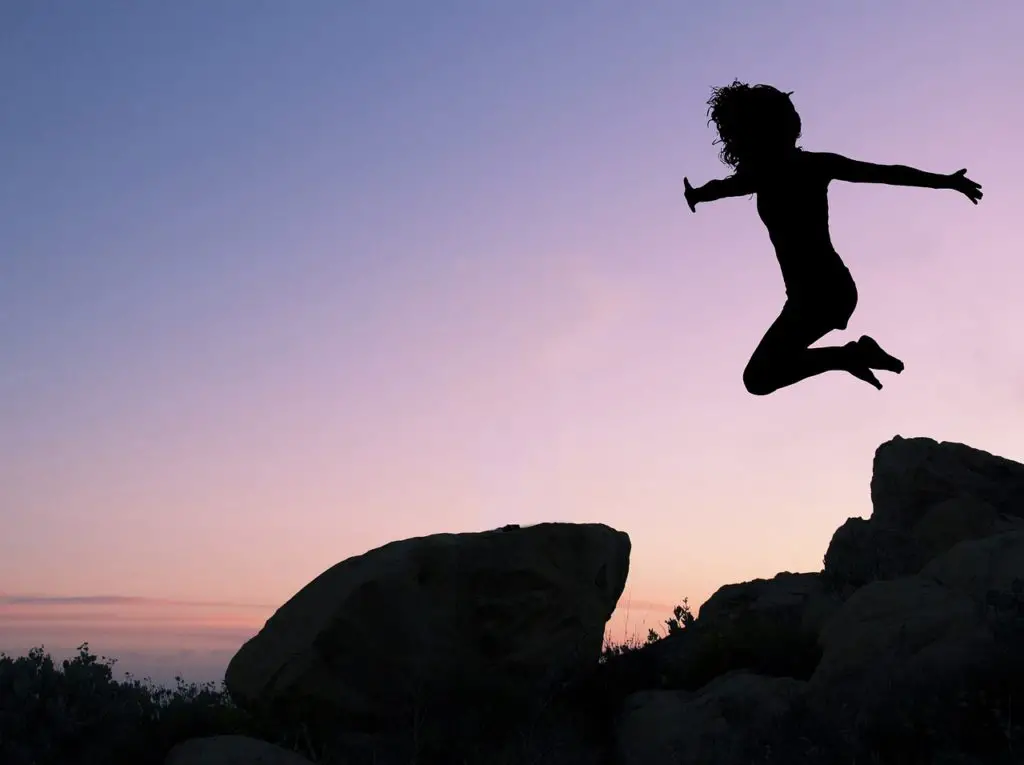 leap meaning