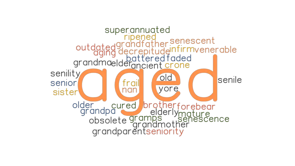 aged-synonyms-and-related-words-what-is-another-word-for-aged