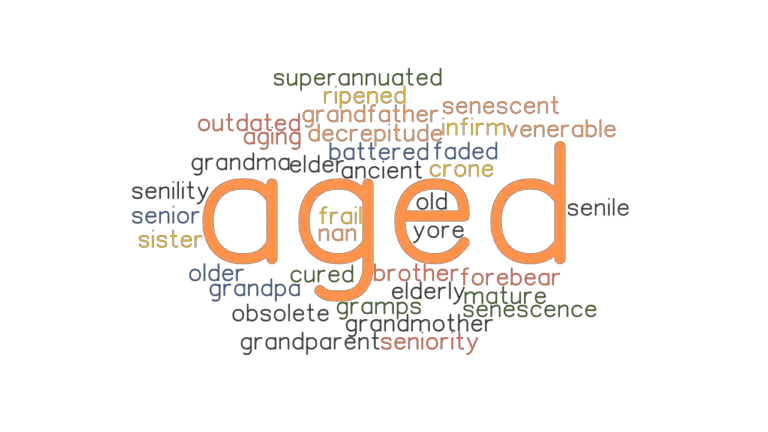 aged-synonyms-and-related-words-what-is-another-word-for-aged