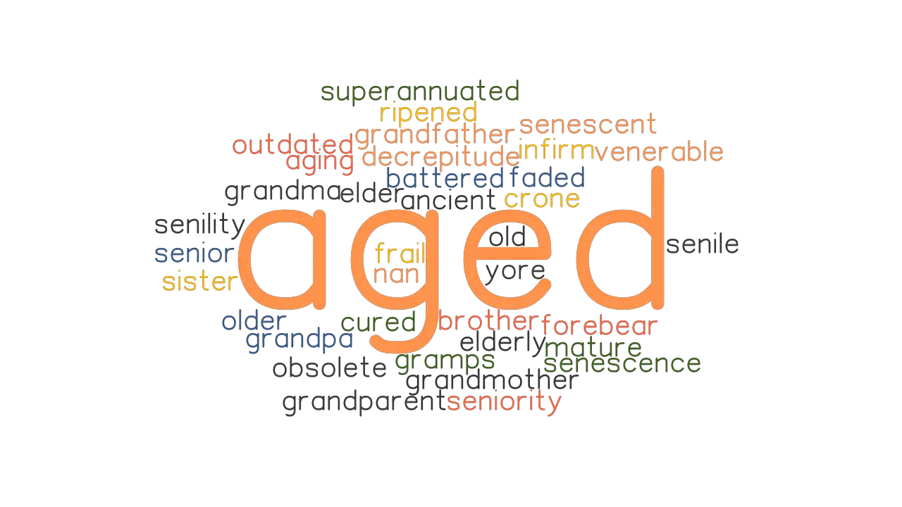 AGED Synonyms And Related Words What Is Another Word For AGED 