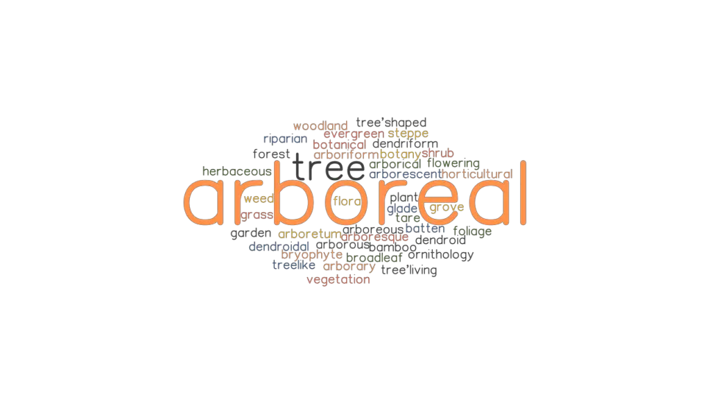 ARBOREAL Synonyms and Related Words. What is Another Word for ARBOREAL