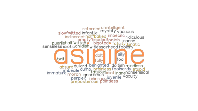 ASININE: Synonyms And Related Words. What Is Another Word For ASININE ...