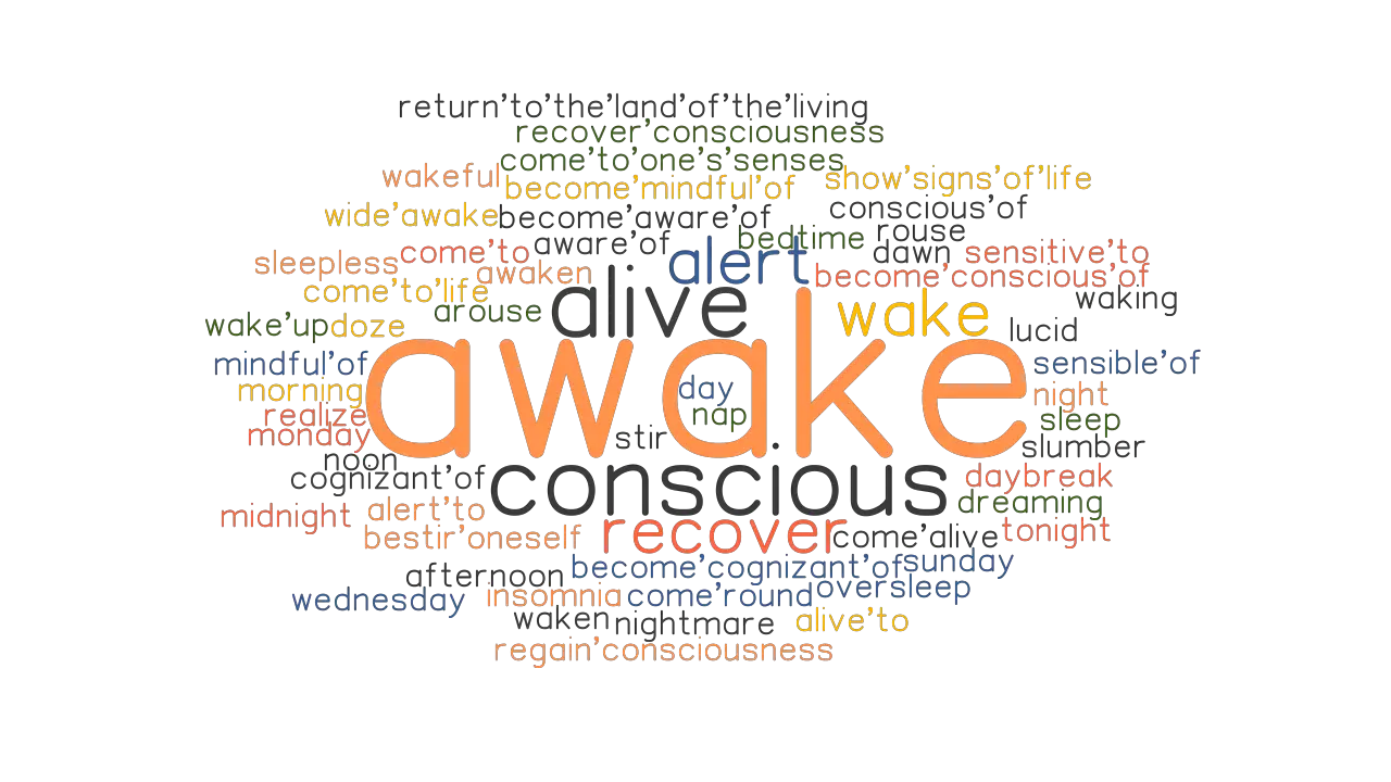 AWAKE Synonyms And Related Words What Is Another Word For AWAKE 