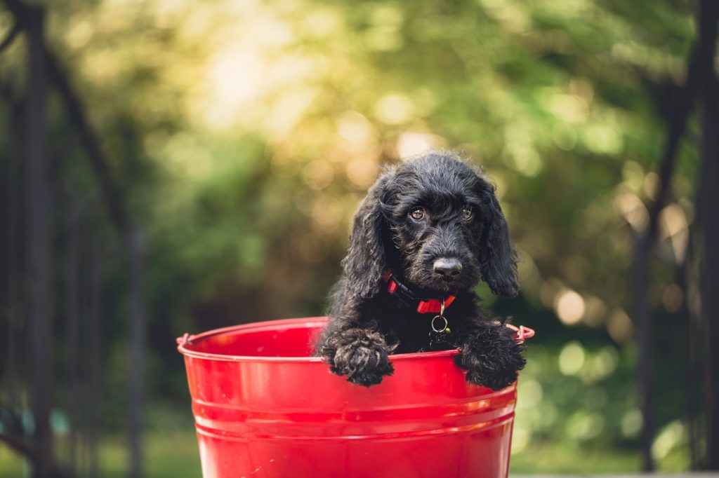 BUCKET: Synonyms and Related Words. What is Another Word for BUCKET synonyms for bucket of water