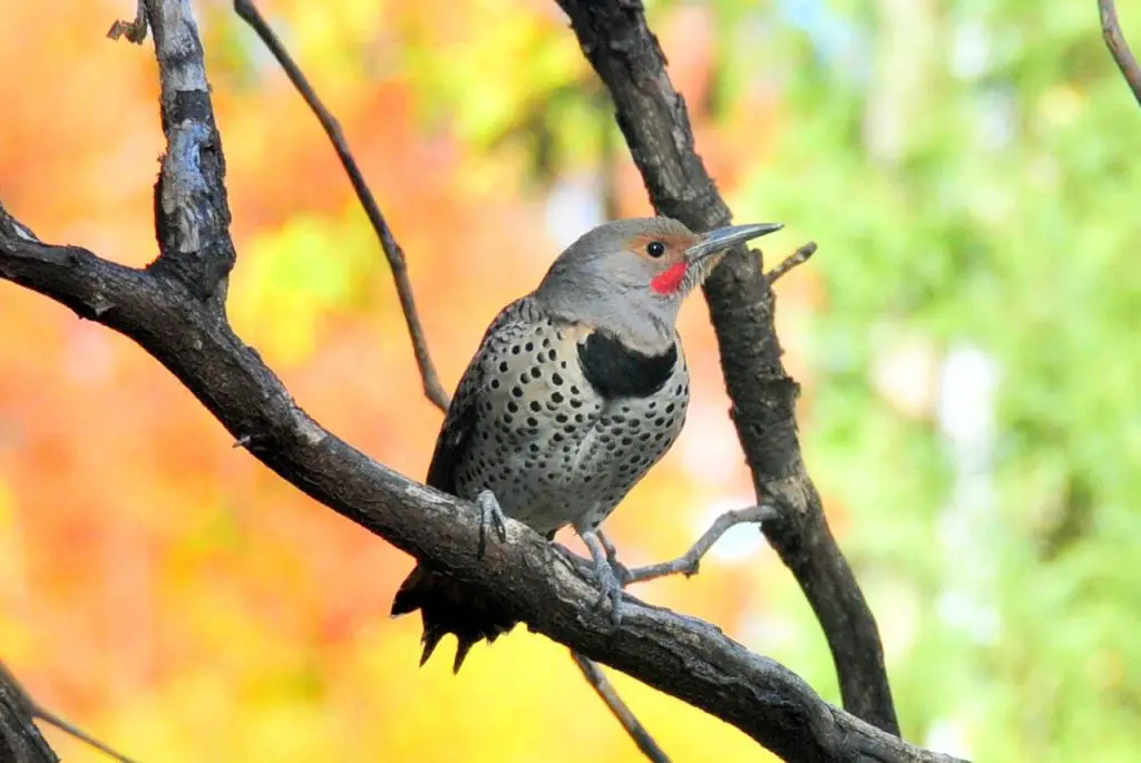 flicker-synonyms-and-related-words-what-is-another-word-for-flicker