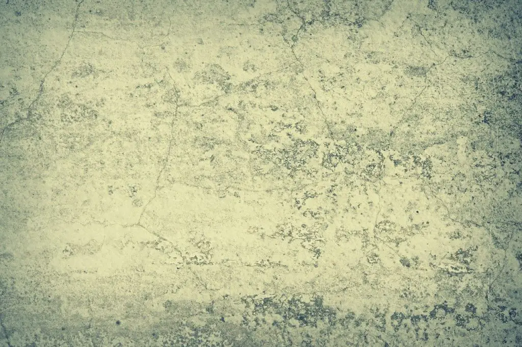 EXTERIOR Synonyms and Related Words. What is Another Word for EXTERIOR