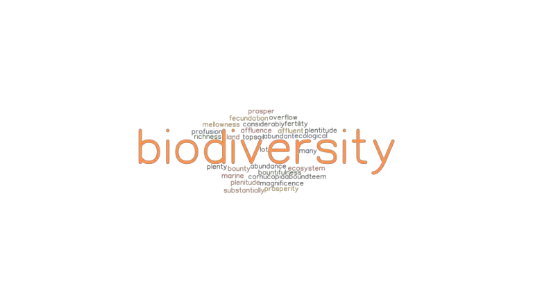 What S Another Word For Biodiversity