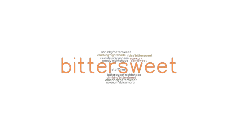 bittersweet-synonyms-and-related-words-what-is-another-word-for