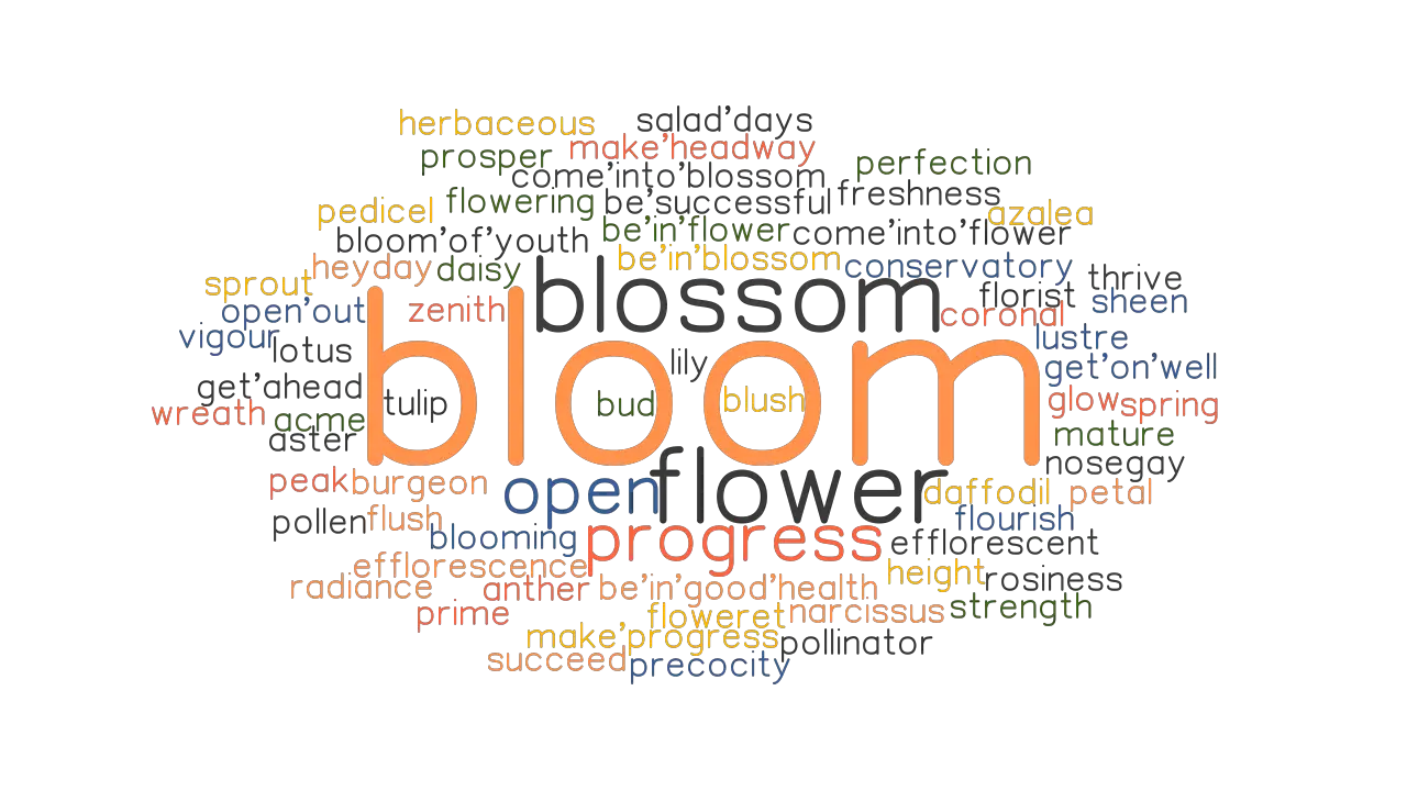 BLOOM Synonyms And Related Words What Is Another Word For BLOOM 