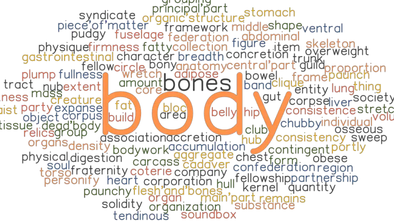 body-synonyms-and-related-words-what-is-another-word-for-body