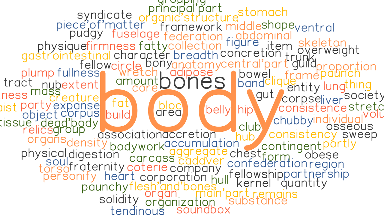 BODY Synonyms And Related Words What Is Another Word For BODY 