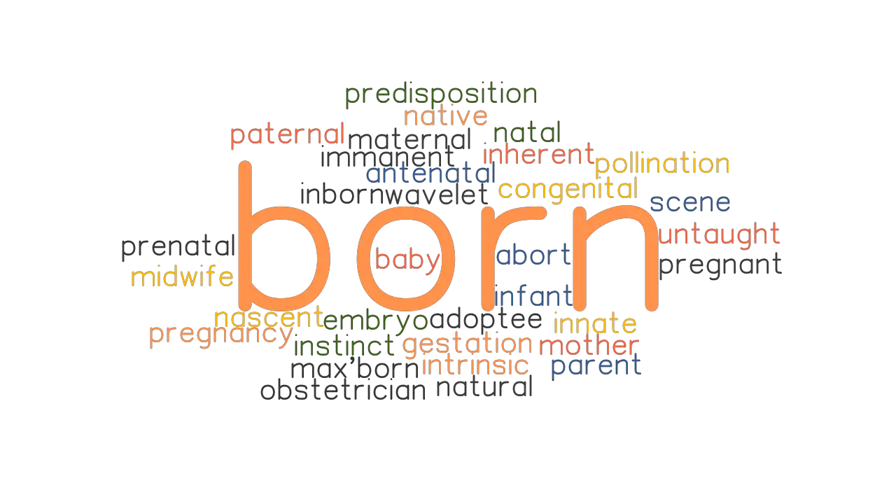 BORN Synonyms And Related Words What Is Another Word For BORN 