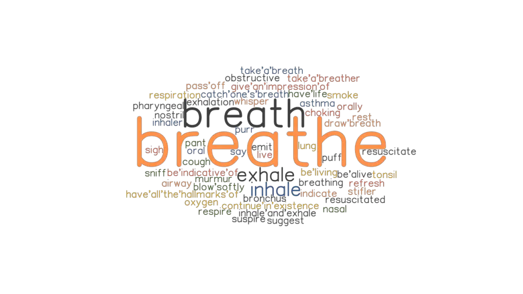 BREATHE: Synonyms and Related Words. What is Another Word for BREATHE ...