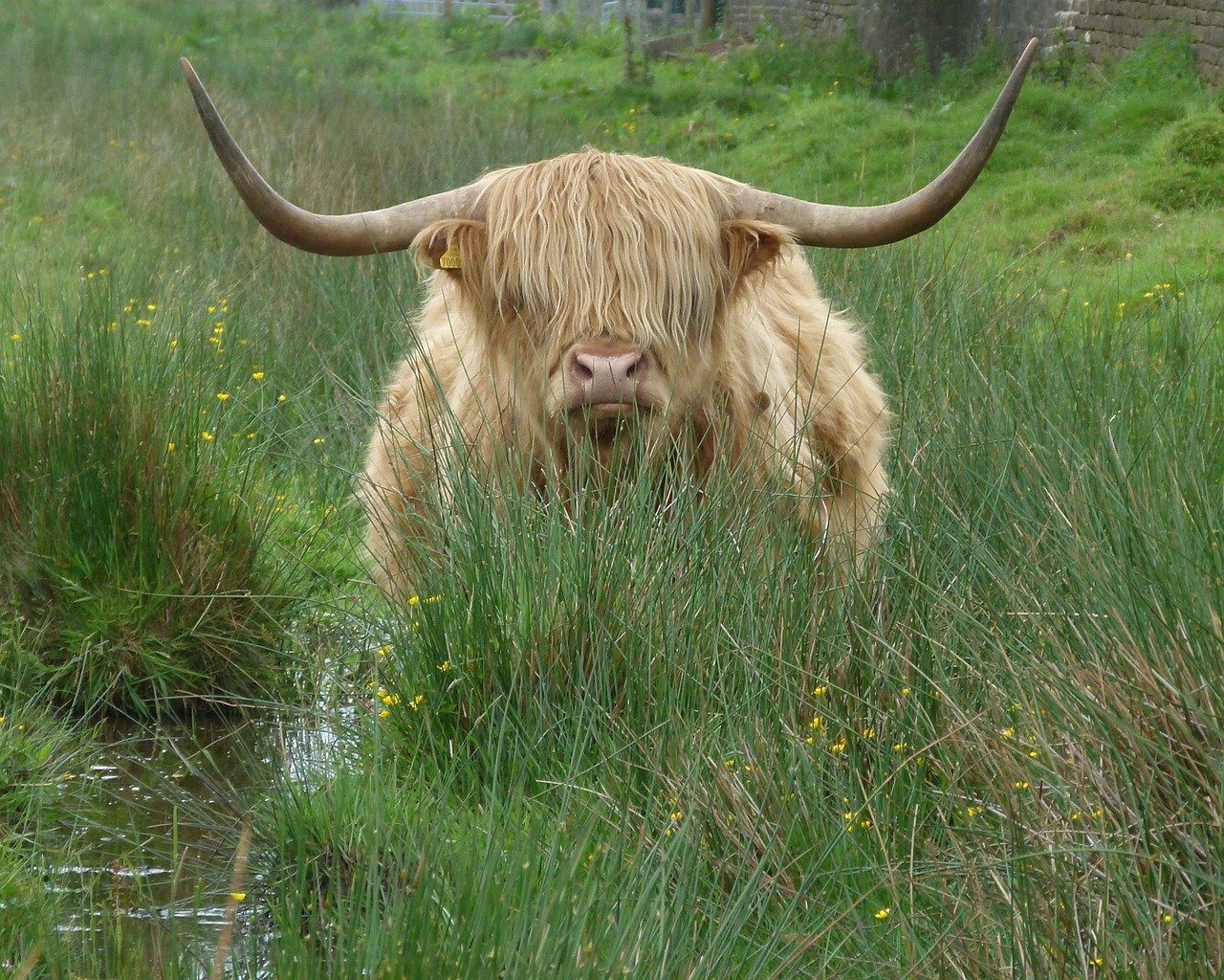 fringe-synonyms-and-related-words-what-is-another-word-for-fringe