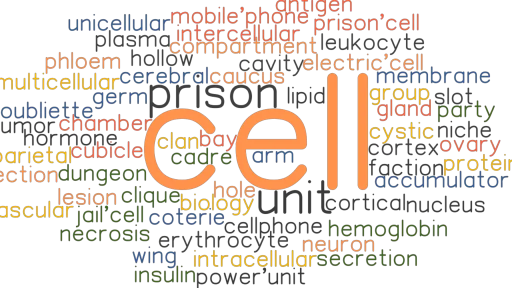 CELL Synonyms And Related Words What Is Another Word For CELL GrammarTOP