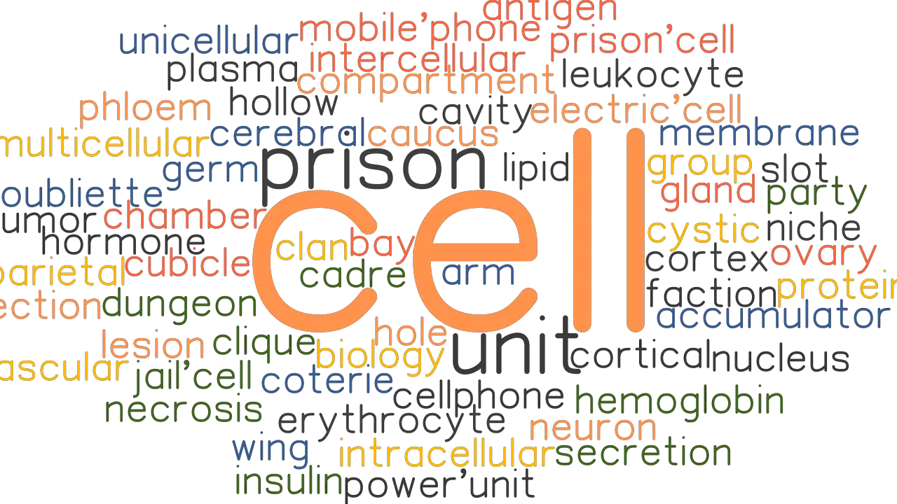 CELL Synonyms And Related Words What Is Another Word For CELL 