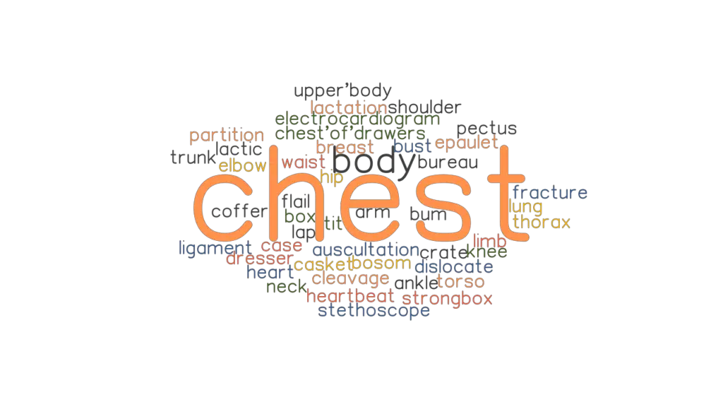 CHEST Synonyms And Related Words What Is Another Word For CHEST 