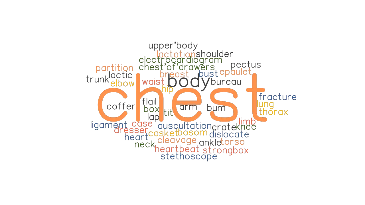 CHEST Synonyms And Related Words What Is Another Word For CHEST 