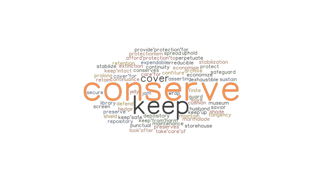 What Is A Another Word For Conserve