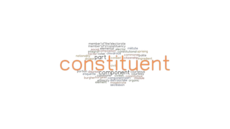 What Is A Another Word For Constituent