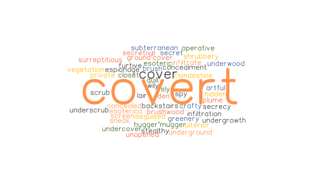 COVERT Synonyms And Related Words What Is Another Word For COVERT 