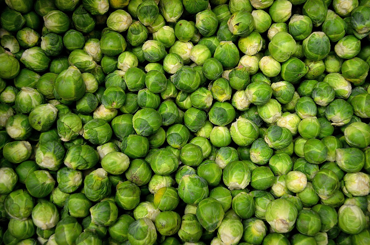 sprout-synonyms-and-related-words-what-is-another-word-for-sprout