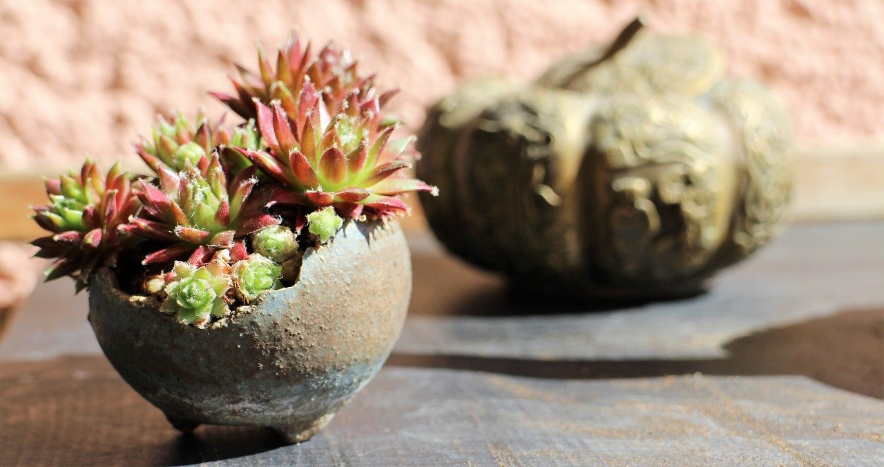 ACCENTS Synonyms and Related Words. What is Another Word for ACCENTS