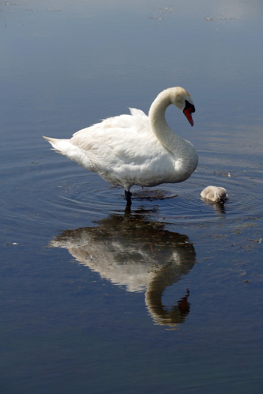 providence-synonyms-and-related-words-what-is-another-word-for