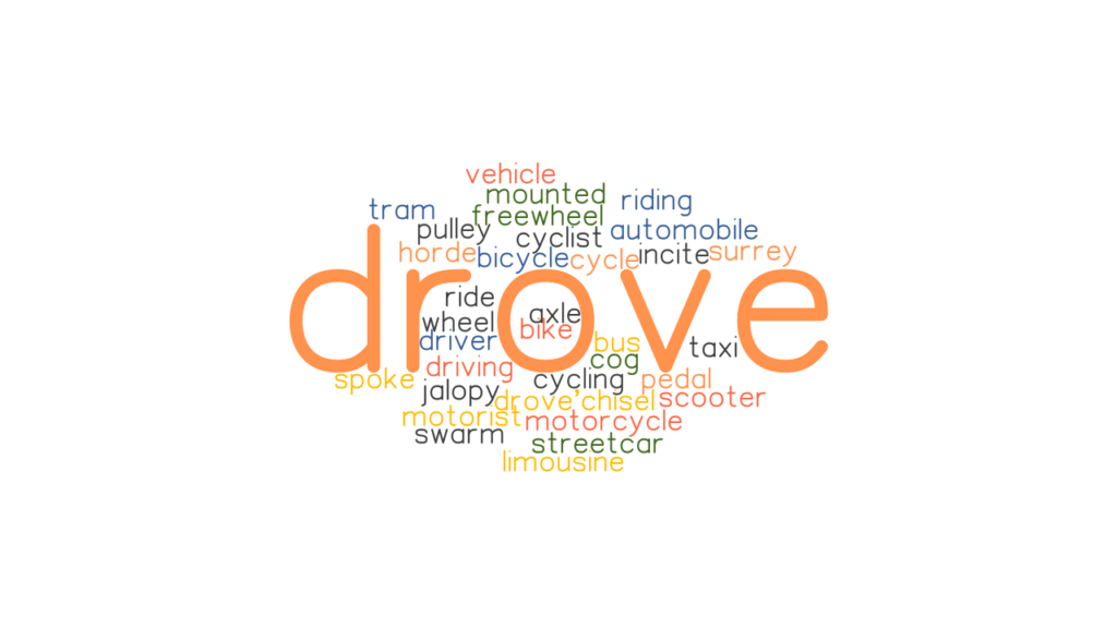 DROVE Synonyms And Related Words What Is Another Word For DROVE 