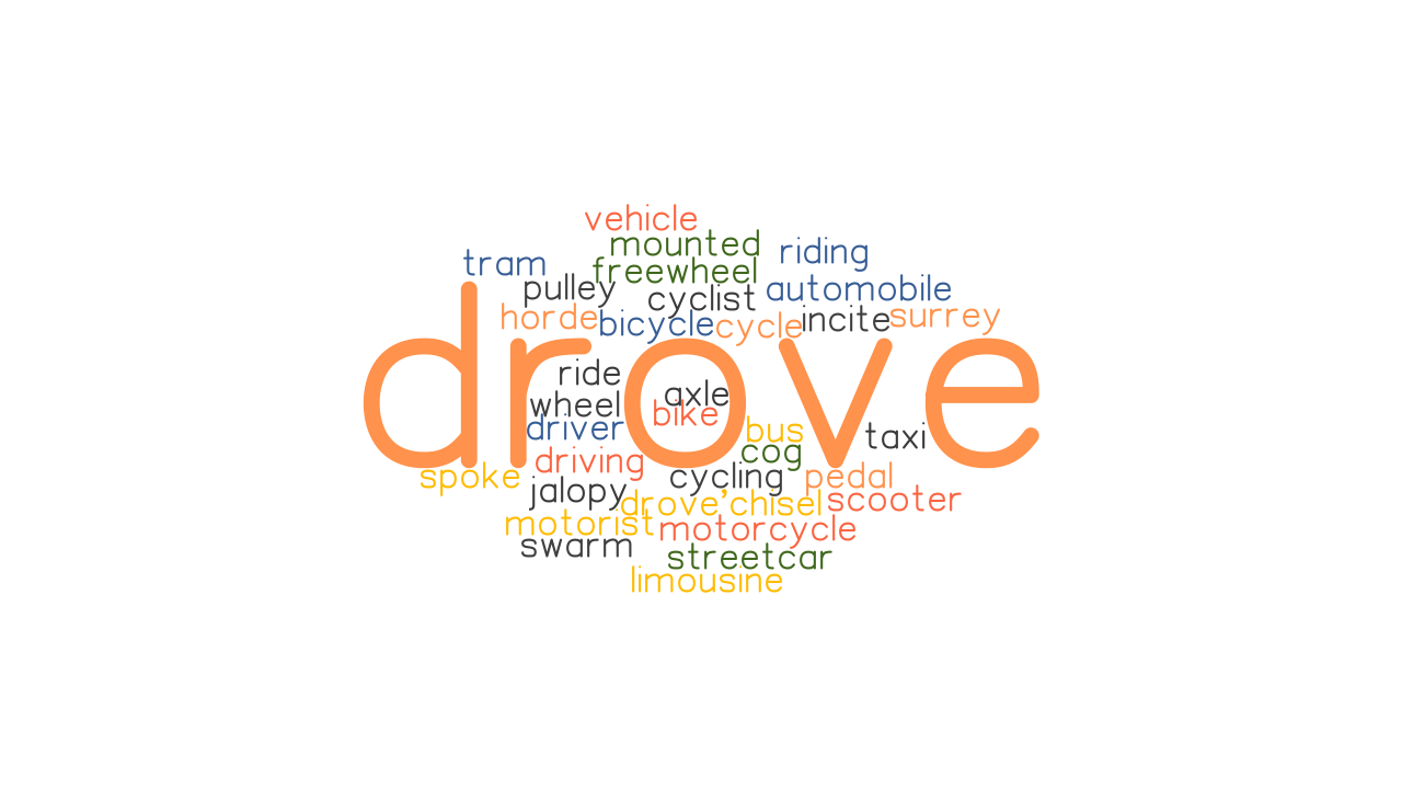 DROVE Synonyms And Related Words What Is Another Word For DROVE 