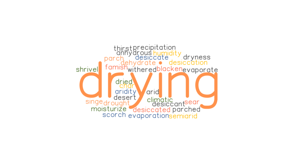 DRYING Synonyms and Related Words. What is Another Word for DRYING