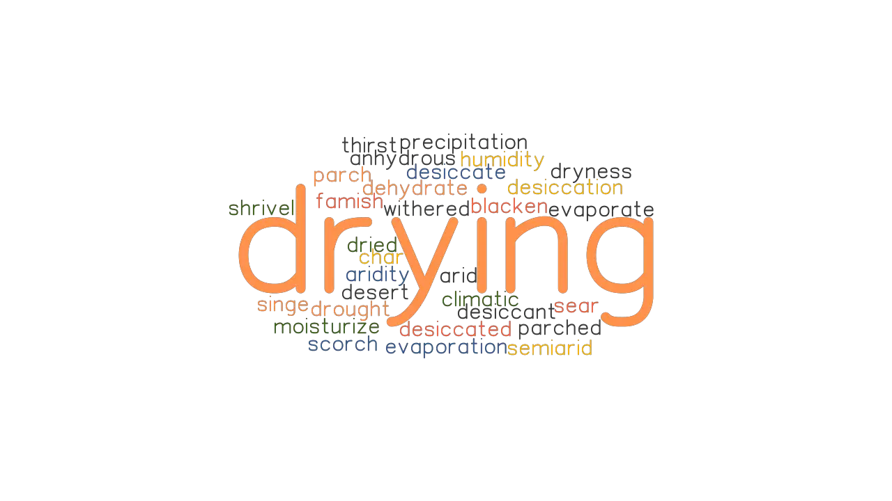 DRYING Synonyms And Related Words What Is Another Word For DRYING 