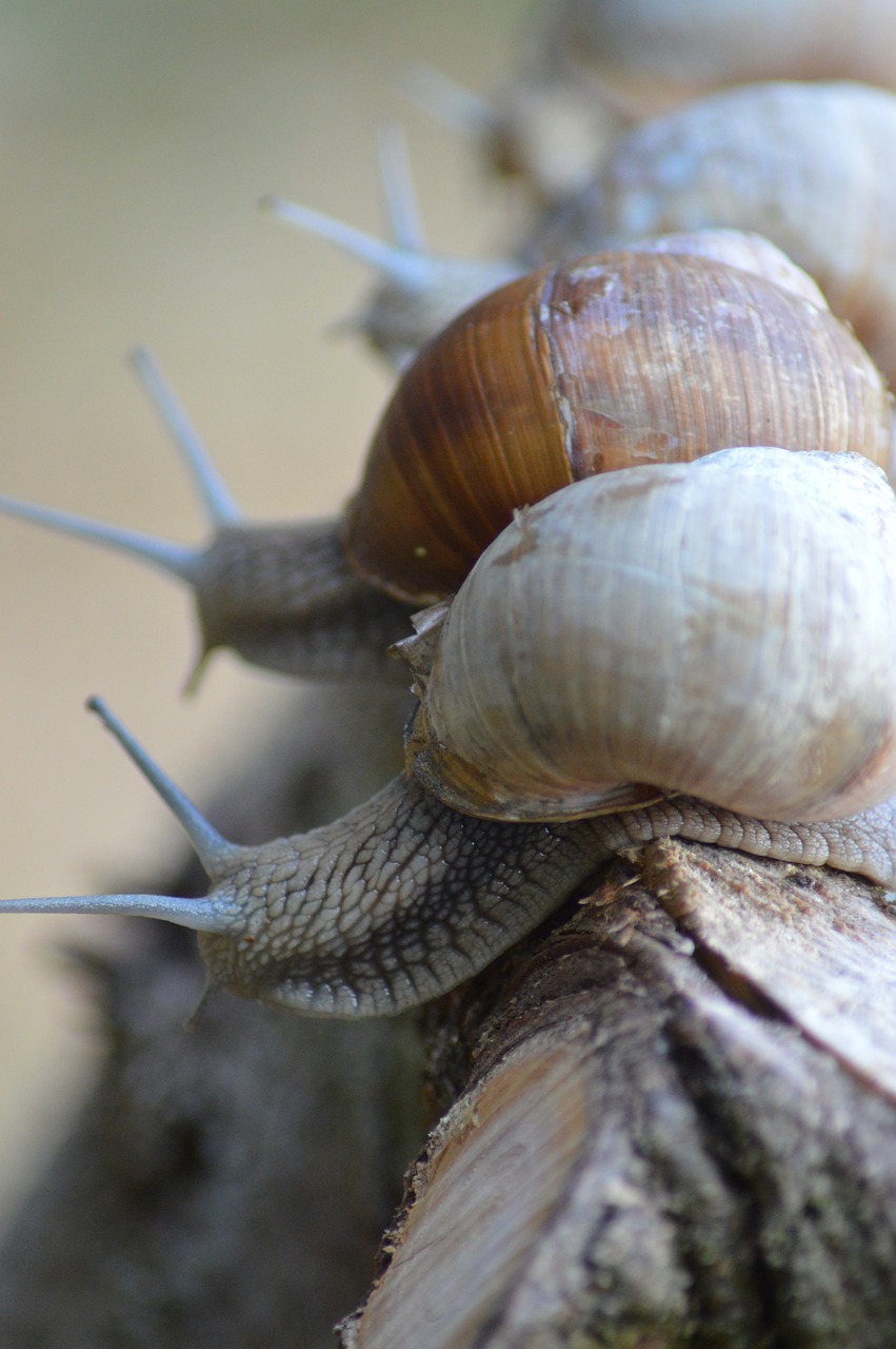 VISCOUS Synonyms and Related Words. What is Another Word for VISCOUS