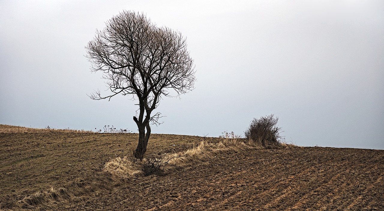 furrow-synonyms-and-related-words-what-is-another-word-for-furrow