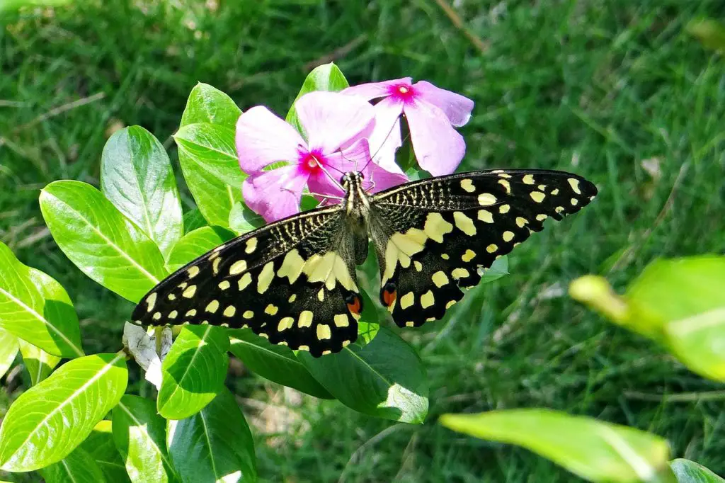 DINGY Synonyms and Related Words. What is Another Word for DINGY