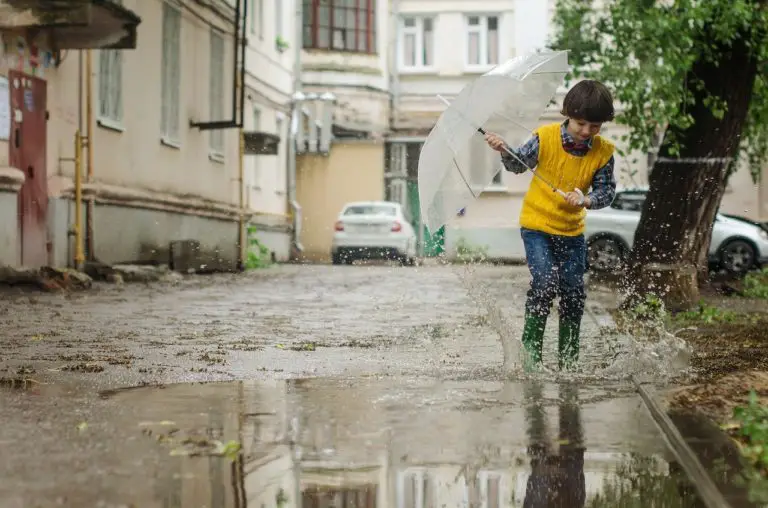 What Is Another Word For Puddle