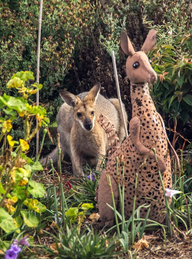 JUXTAPOSITION Synonyms and Related Words. What is Another Word for