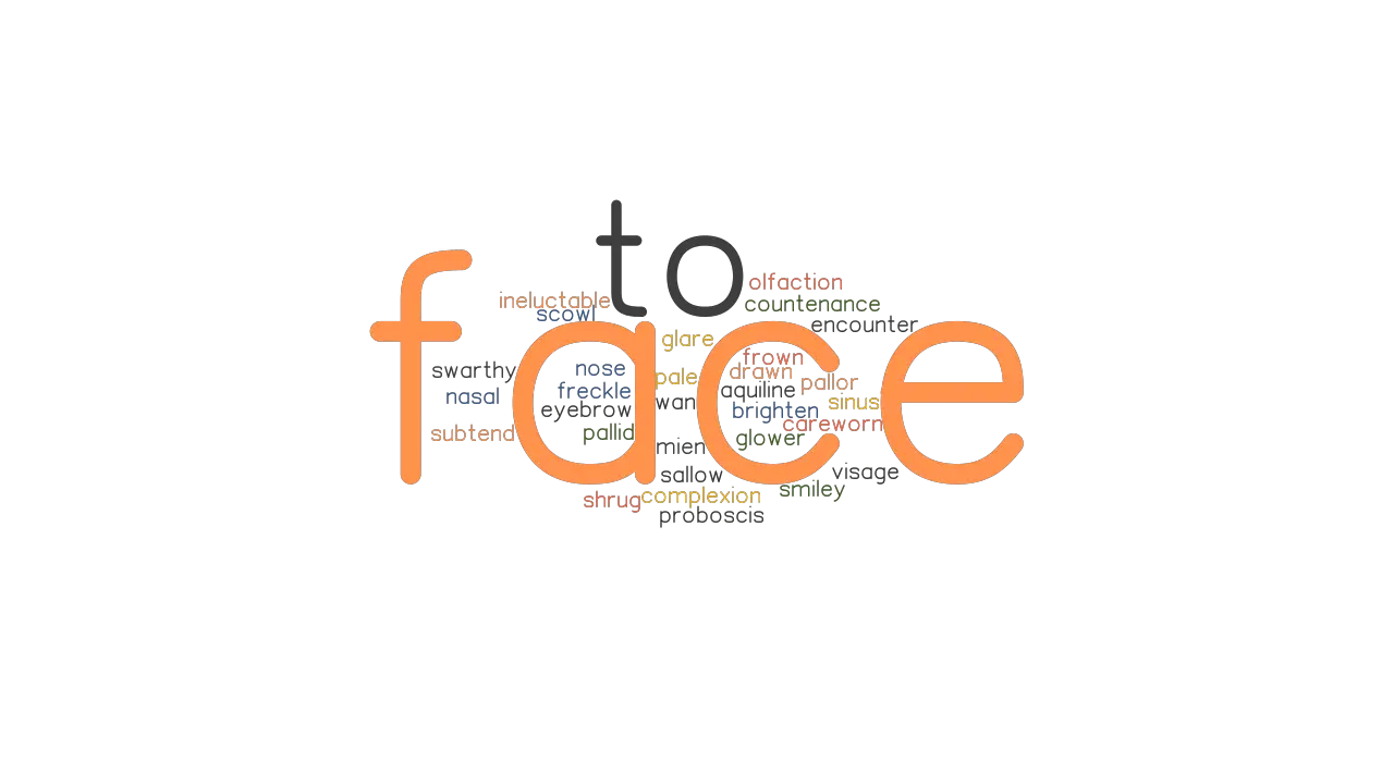 FACE TO FACE Synonyms And Related Words What Is Another Word For FACE 