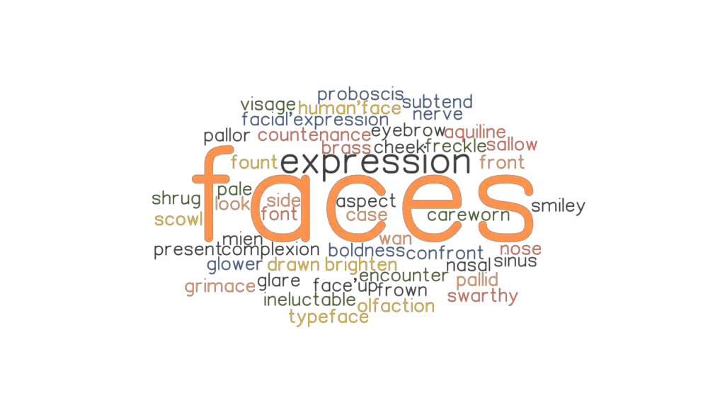 other words for face presentation