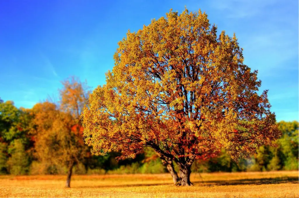 PARK Synonyms And Related Words What Is Another Word For PARK 