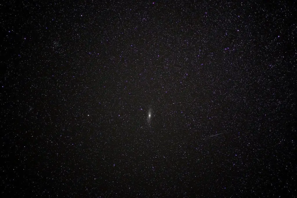 SHOOT Synonyms and Related Words. What is Another Word for SHOOT