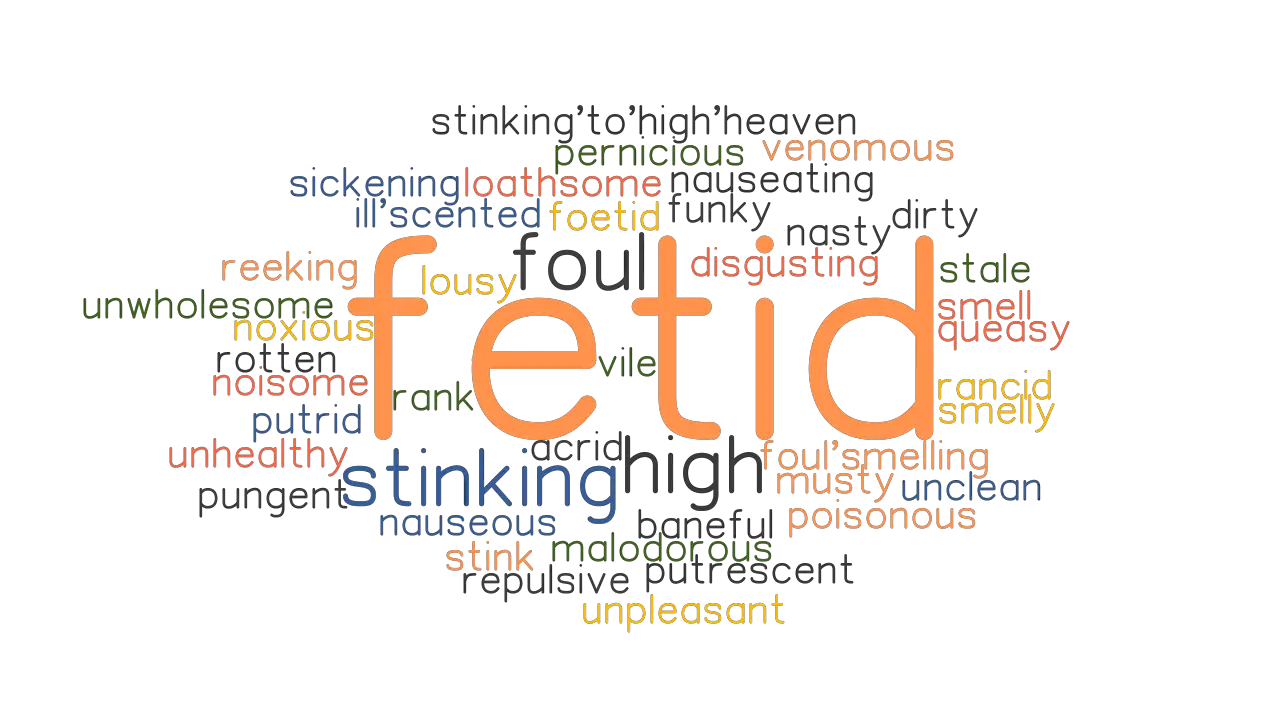 FETID Synonyms and Related Words. What is Another Word for FETID ...
