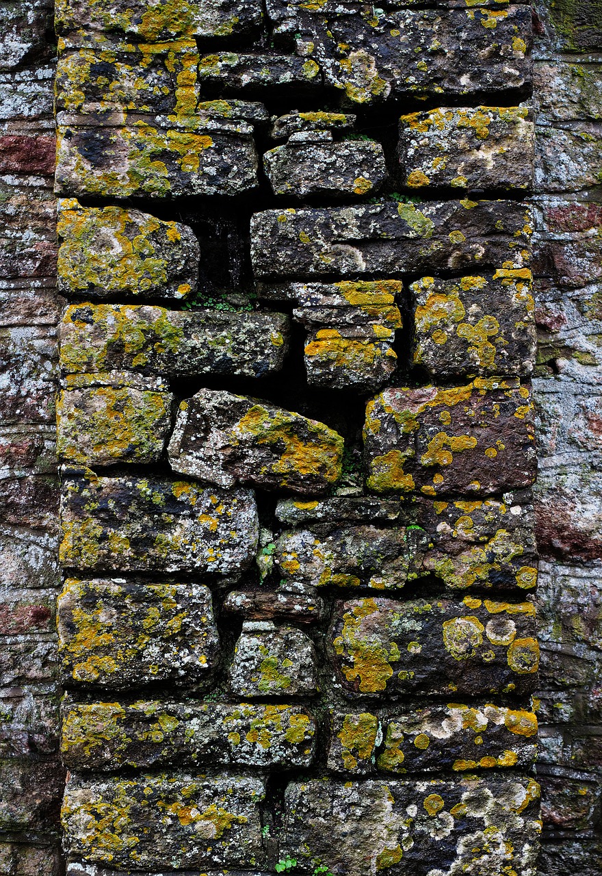 CREVICE Synonyms and Related Words. What is Another Word for CREVICE