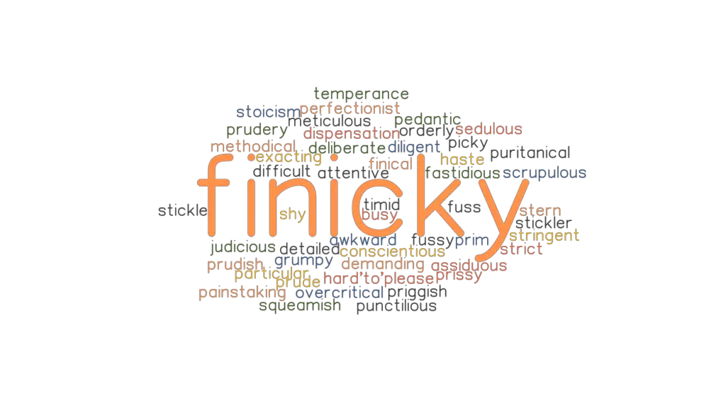 definition for finicky