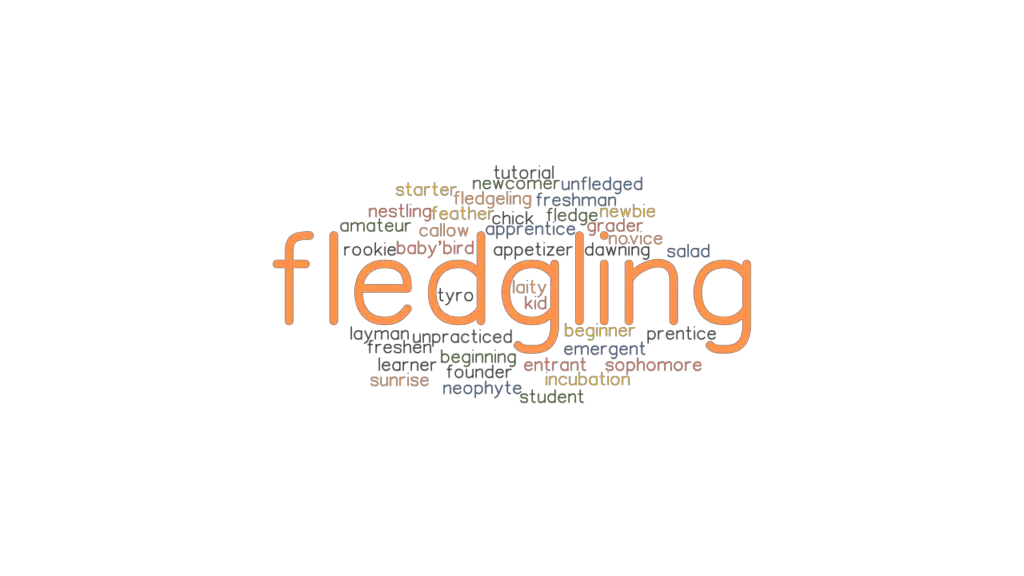 fledgling-synonyms-and-related-words-what-is-another-word-for