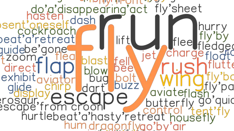 fly-synonyms-and-related-words-what-is-another-word-for-fly-grammartop